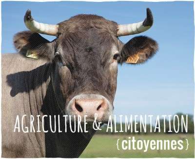 Agriculture & alimentation