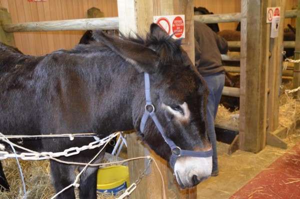 12806190 1109900792395255 5825665682486359362 n