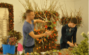 Floristic competition