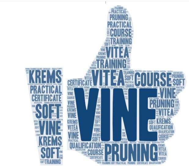 Wordle Vitea