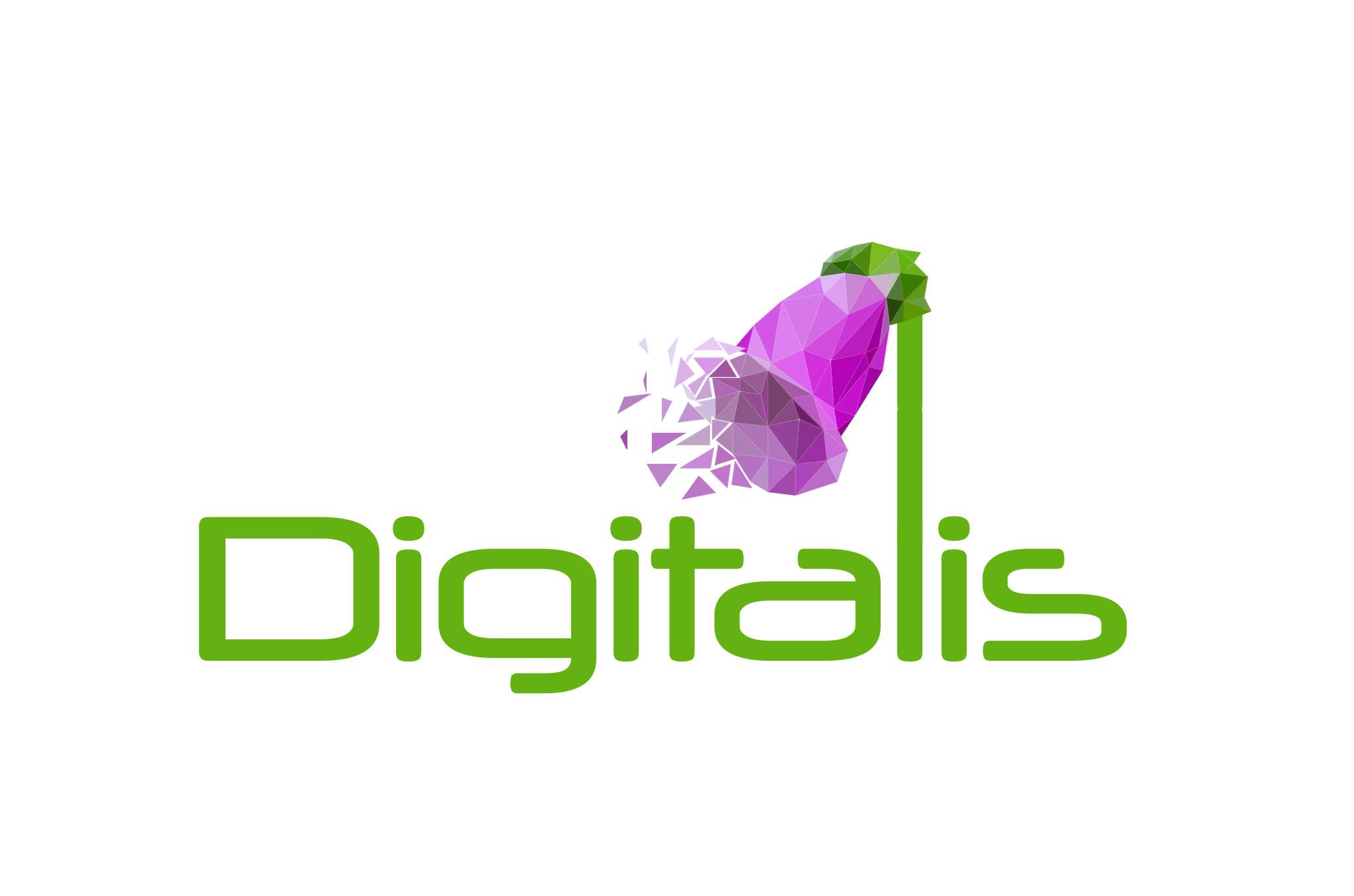 Digitalis2 (1)
