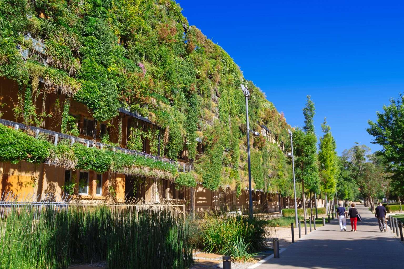 New Project Urban Greening Europea