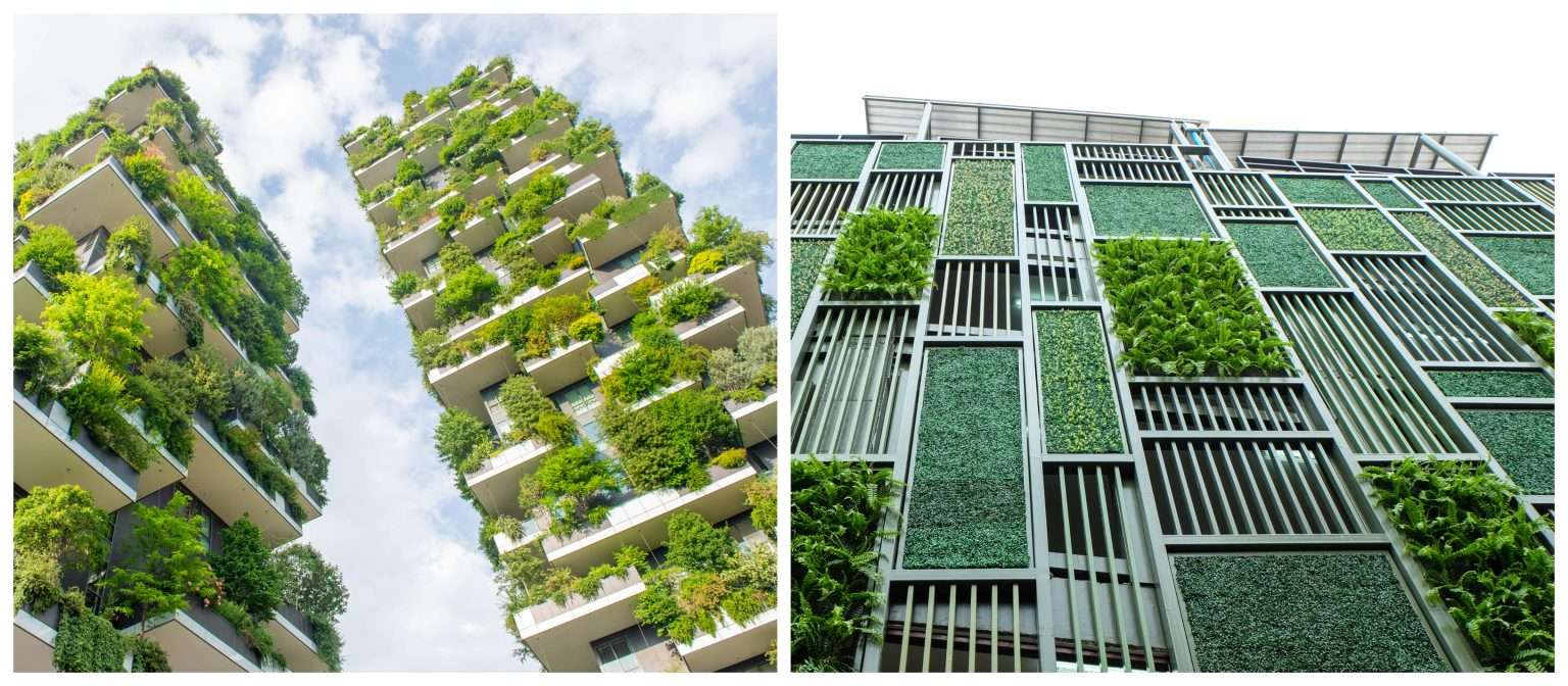 New project: Urban Greening! – EUROPEA