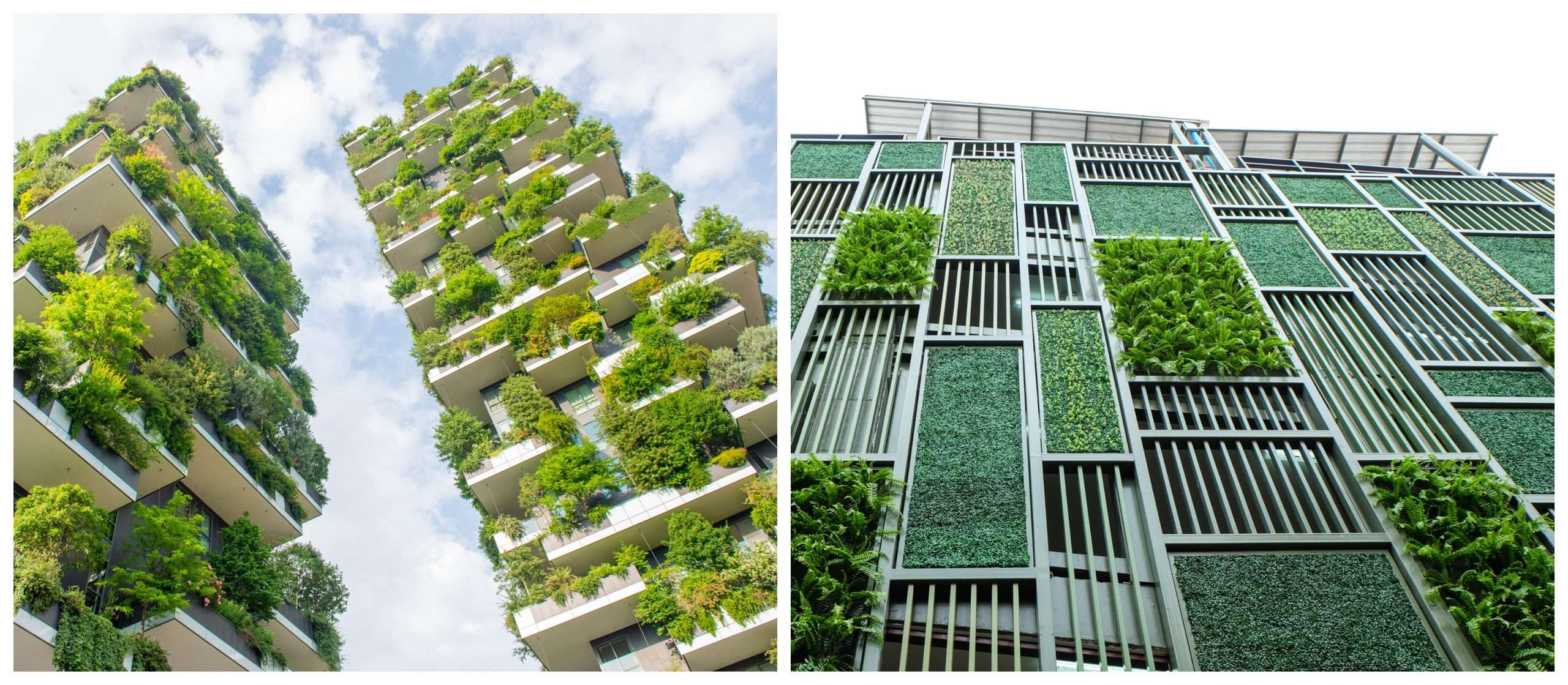 New Project Urban Greening