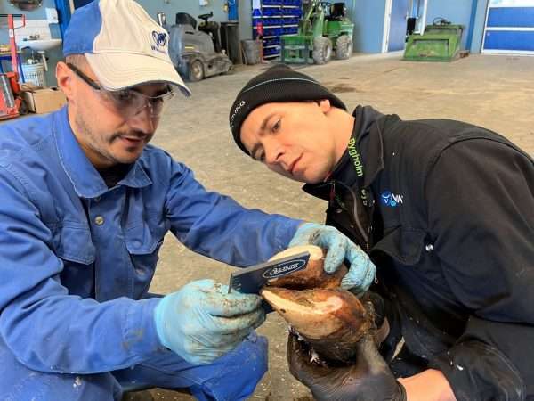 Kurt Bach (right), hoof specialist, Vet. PhD., asks a learner to explain some details.