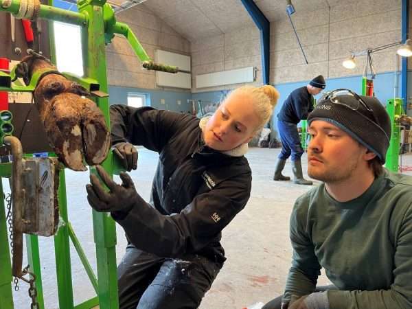 Sofie Bjørn Skovsgaard, a professional hoof trimmer and hoof specialist, explains the details to a learner.