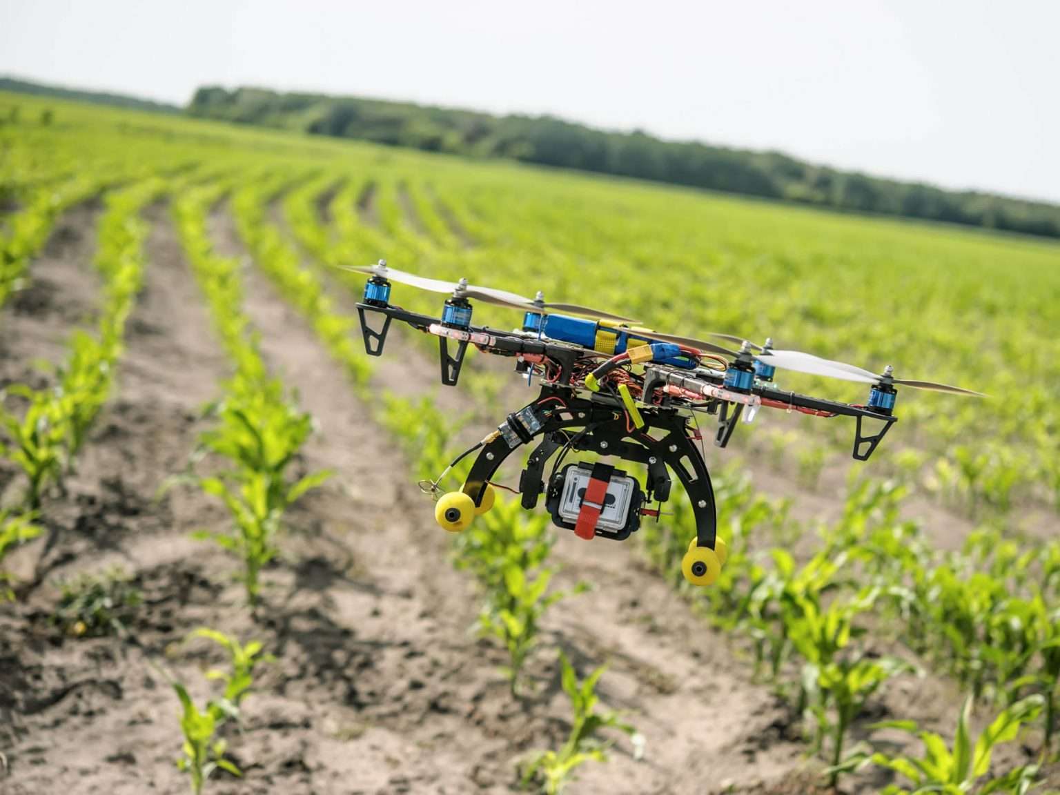 Precision agriculture