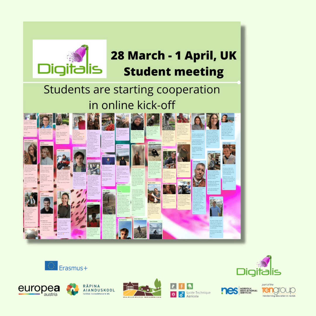 Digitalis_UK