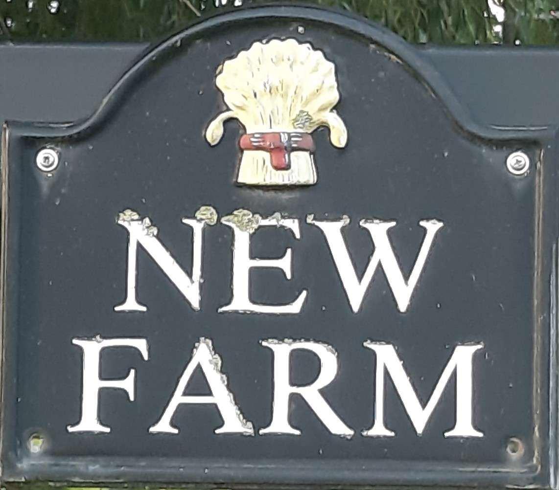 New_farm