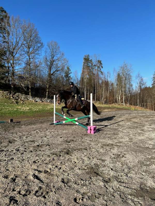 Horse Riding Sweden