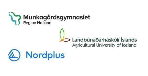 Logotypes Sweden Iceland Exchange