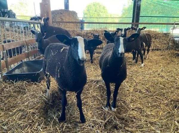 4f1d076c ca64 4c78 b616 3e9d5e37b01a