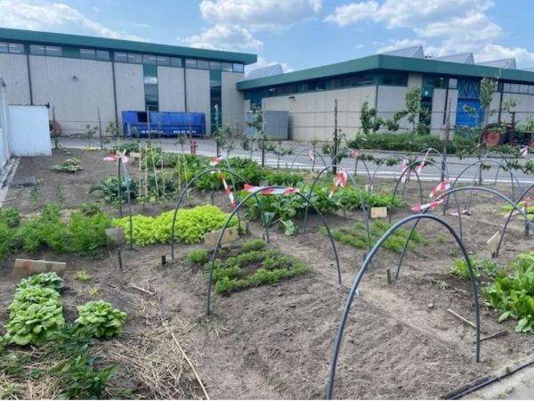 6dfb8530 dab8 4513 a5ab 6e18c2dc8b05