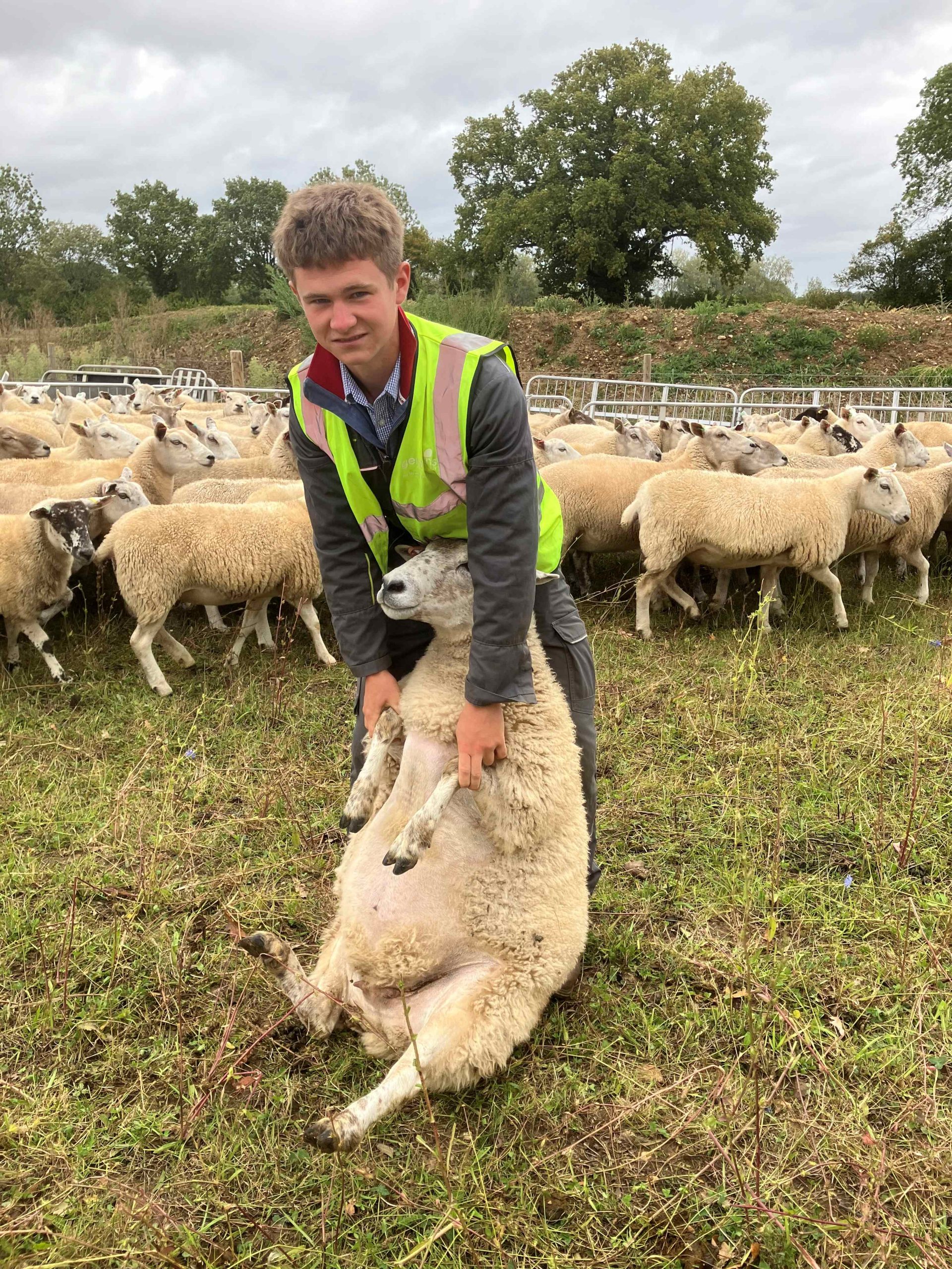 Reuben crowter working with sheep on the farm at easton college resized