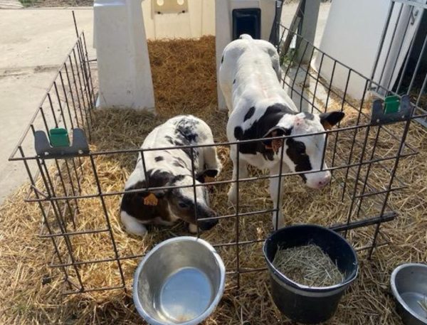 Fdcb050b d287 4031 a06e 92300f88fe64