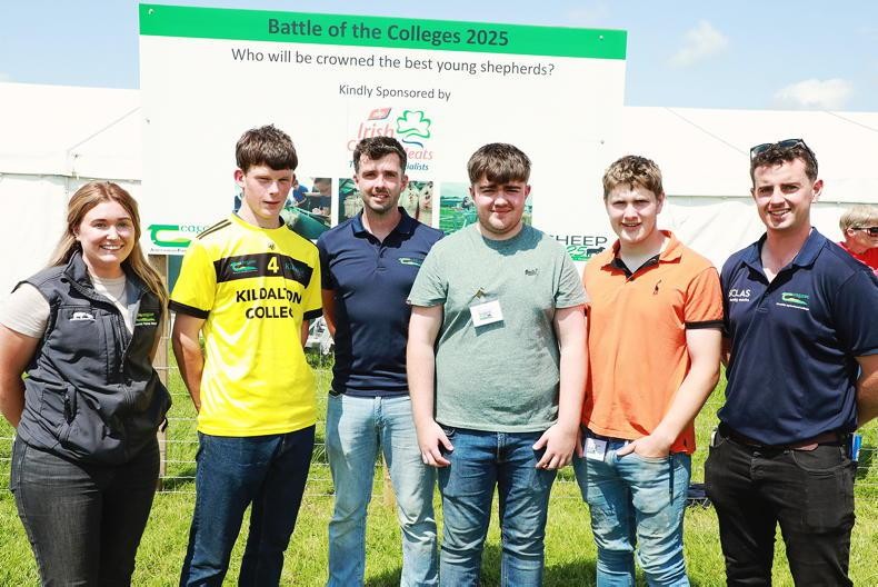 Photo 4 Sheep Skills Awards