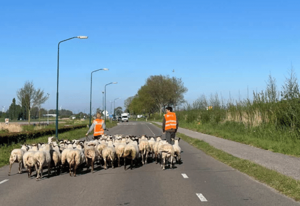 2026 10 12 ECATACORONTE ERASMUS VAN DRIEL